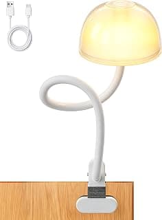 Rechargeable Clip on Light for Bed, Cordless Reading Light, Gooseneck lamp
