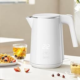 Electric Kettle, 1.0L Fast Boiling with 7 Temperature Settings, Auto Shut-Off & Boil-Dry Protection, Stainless Steel ...