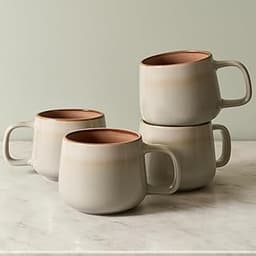 Ava Nord Stoneware Ceramic Coffee Mugs Set of 4 | 12 oz | Sage Ash