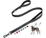 Fida Heavy Duty Dog Leash for Medium Large Dogs, 5 FT, Dual Padded Handles | Traffic Handle for Close Control, Advanc...
