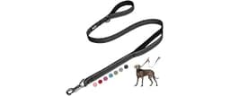 Fida 5 FT Heavy Duty Dog Leash with 2 Comfortable Padded Handles, Traffic Handle & Advanced Easy Snap Hook, Reflectiv...