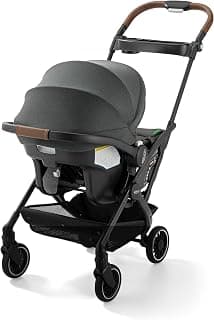 Graco Gomax Travel System (Stroller & Car Seat), Ace