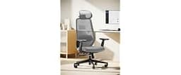 ProtoArc EC200 Ergonomic Office Chair with Adjustable Seat Depth, Grey | Lumbar Support, High-Back, Mesh Desk Chair, ...