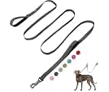 Fida 10 FT Heavy Duty Dog Leash, Dual Padded Handles for Medium Large Dogs | Traffic Handle for Close Control, Advanc...