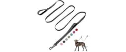 Fida 10ft Heavy Duty Dog Leash with 2 Comfortable Padded Handles, Traffic Handle & Advanced Easy Snap Hook, Reflectiv...
