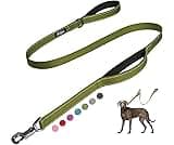 Fida 4 FT Heavy Duty Dog Leash with 2 Comfortable Padded Handles, Traffic Handle & Advanced Easy Snap Hook, Reflectiv...