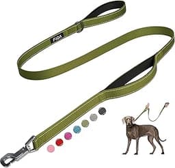 Fida Heavy Duty Dog Leash for Medium Large Dogs, 4 FT, Dual Padded Handles | Traffic Handle for Close Control, Advanc...