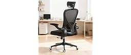 Office Chair with Adjustable Lumbar Support & Flip-Up Armrests -Ergonomic High Back Computer Desk Chair with Thickene...
