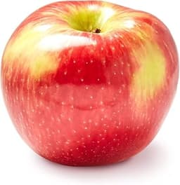 Honeycrisp Apple