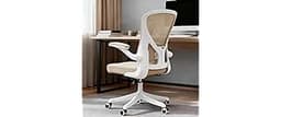 Ergonomic Office Chair with Adjustable Lumbar Support & Flip-Up Armrests - High Back Computer Desk Chair with Thicken...