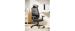ProtoArc EC200 Ergonomic Office Chair with Adjustable Seat Depth | Lumbar Support, High-Back, Mesh Desk Chair, Home O...