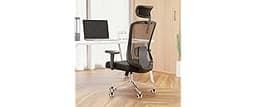 Ergonomic Office Chair with Adjustable Lumbar Support & Flip-Up Armrests - High Back Computer Desk Chair with Thicken...