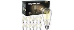 TJOY 12 Pack Vintage 8W ST58 LED Edison Light Bulbs, Dimmable, 60W Equivalent, 800Lumens, 2700K Warm White, E26 Base ...
