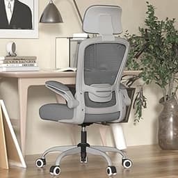 Mimoglad Office Chair, Comfy Desk Chair - High Back Ergonomic Computer Chair with Adjustable Lumbar Support & Headres...