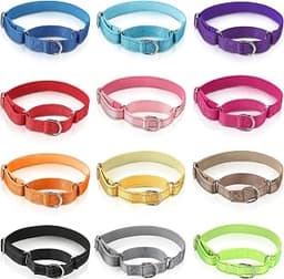 12 Pack Martingale Collar for Dogs Reflective Dog Collars, Medium | Puppy Collar, Bulk Value for Multiple Dogs, No-es...