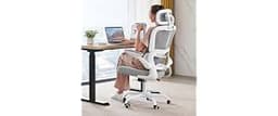 TRALT Office Chair Ergonomic Desk Chair with Lumbar Support White, 1 | 330 LBS Home Office Desk Chairs with Headrest,...