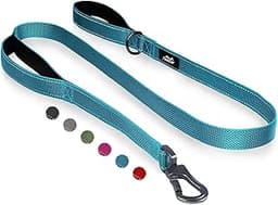 TwoEar 4FT 1IN Strong Blue Dog Leash with 2 Padded Handles, Traffic Handle Extra Control, Comfortable Soft Dual Handl...