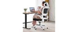 TRALT Office Chair Ergonomic Desk Chair - Gaming Chair with Lumbar Support | 330 LBS Home Office Desk Chairs with Hea...