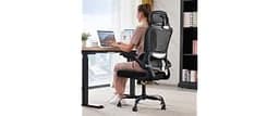 TRALT Office Chair Ergonomic Desk Chair with Lumbar Support Black, 1 | 330 LBS Home Office Desk Chairs with Headrest,...
