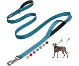 Fida Heavy Duty Dog Leash for Medium Large Dogs, 6 FT, Dual Padded Handles | Traffic Handle for Close Control, Advanc...