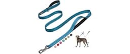 Fida 6 FT Heavy Duty Dog Leash with 2 Comfortable Padded Handles, Traffic Handle & Advanced Easy Snap Hook, Reflectiv...