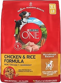 Purina ONE Chicken & Rice Formula Dry Dog Food, 31.1 lb Bag | High protein dog food with a microbiome balance and Sma...