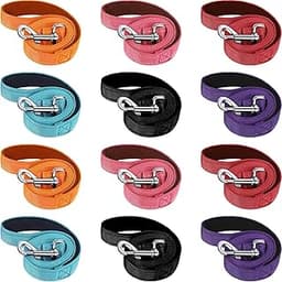 Vicenpal 12 Pcs Double Sided Reflective Dog Leash with Soft Padded Handle, Bulk Nylon Animal Leashes for Medium and L...